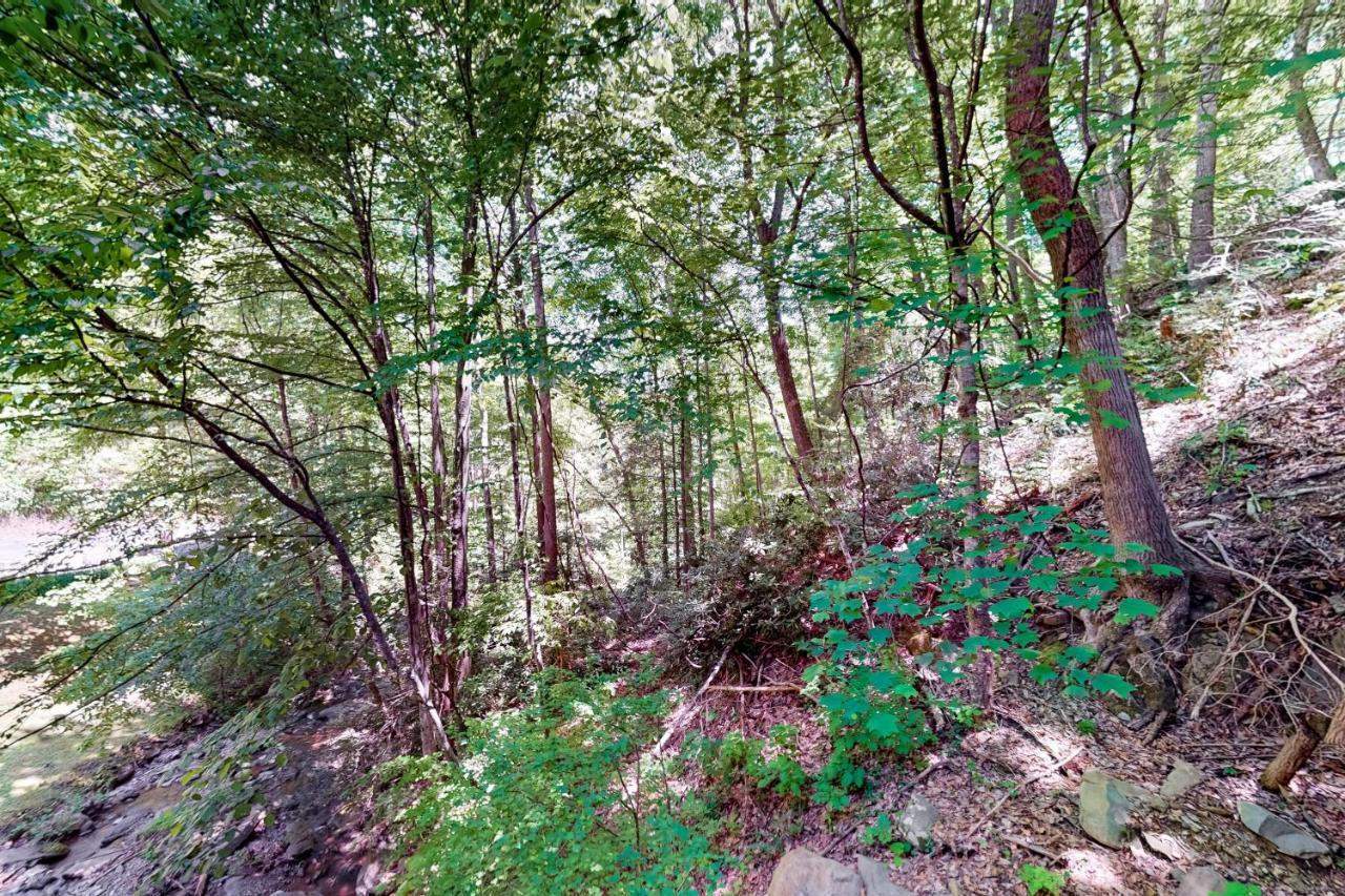 Hiker'S Hideaway Gatlinburg Quarto foto